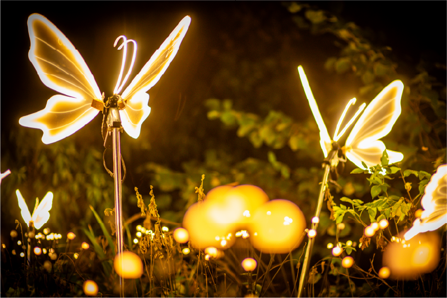 Glowing light installation along the winter trail