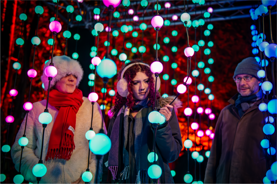 Visitors walking through illuminated trees
